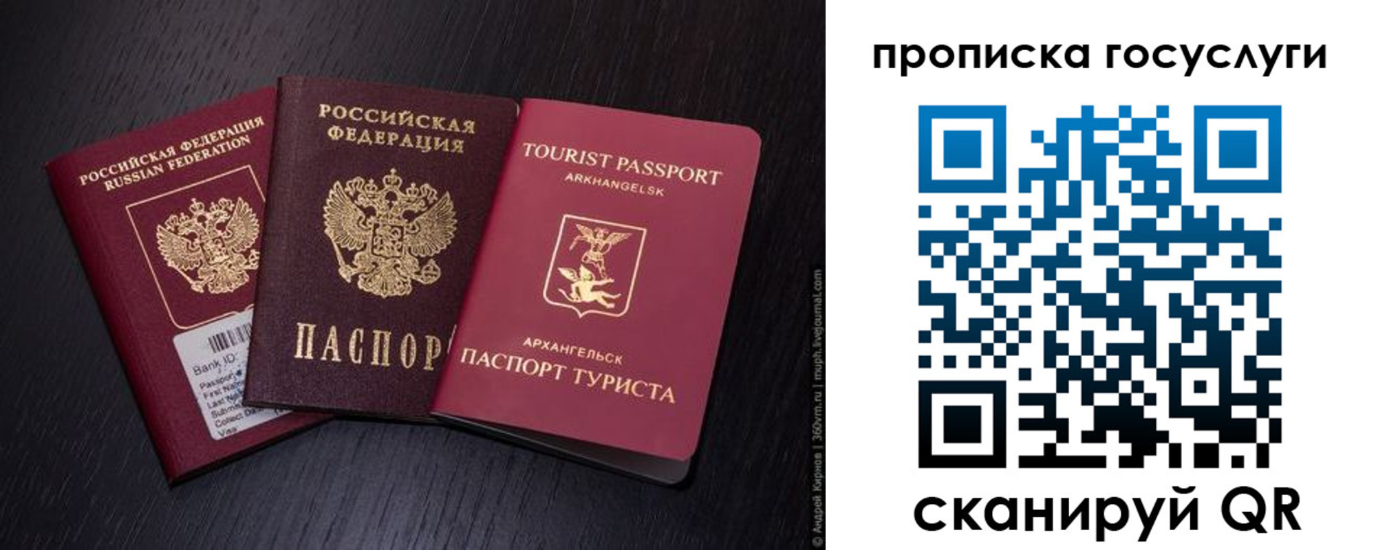 прописка 2025 в Белгородской области